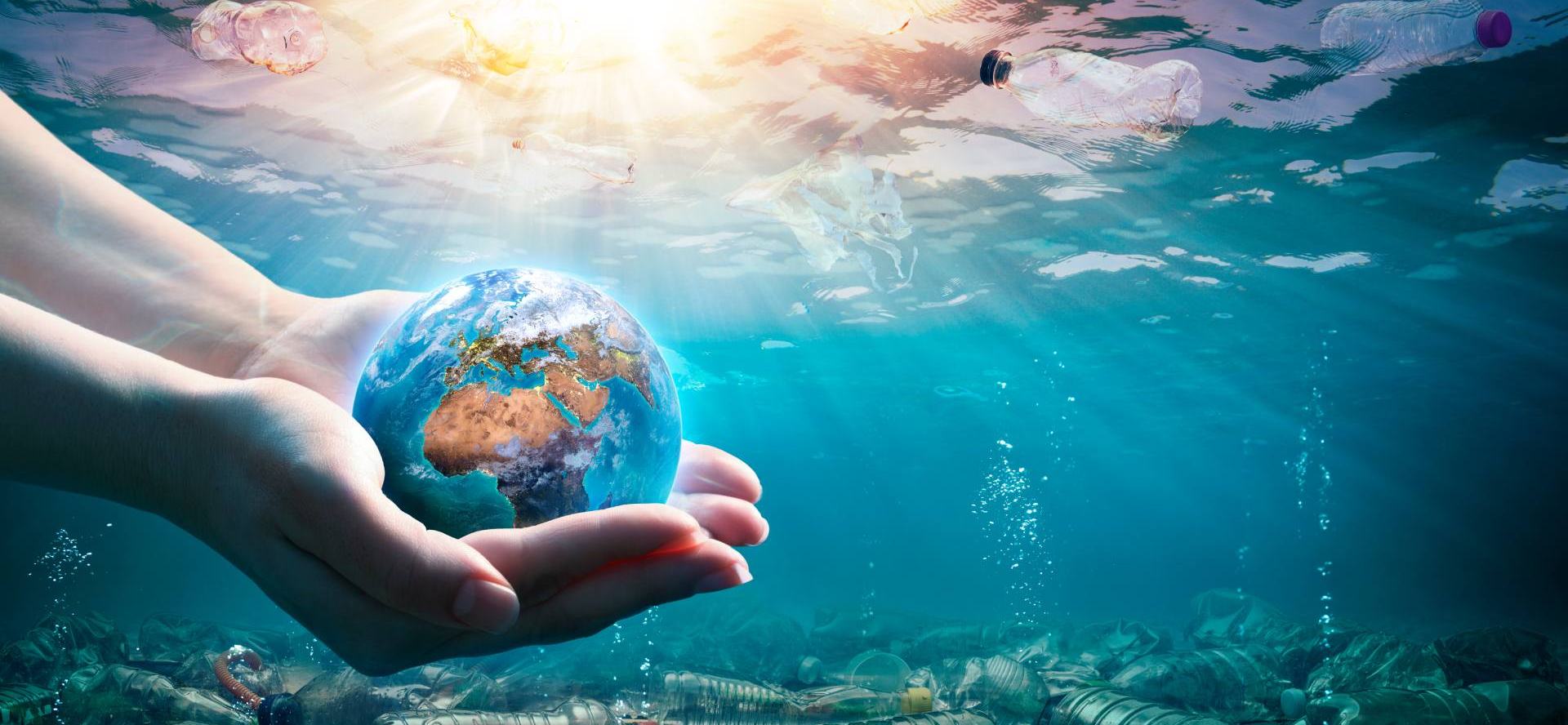 Supporting Sustainability Initiatives
