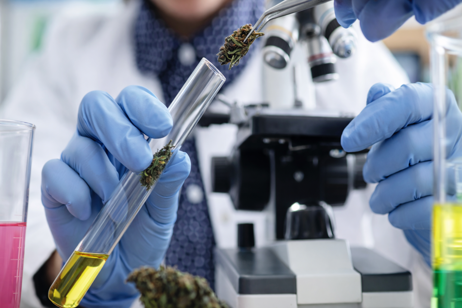 Agricultural Crops Research Applications