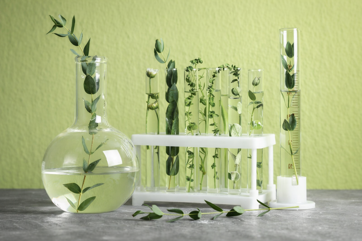 Innovation in Lab Energy Efficiency and Environmental Sustainability